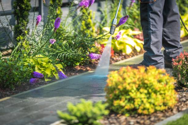 Trusted Irwin, PA Pressure Washing Services Experts